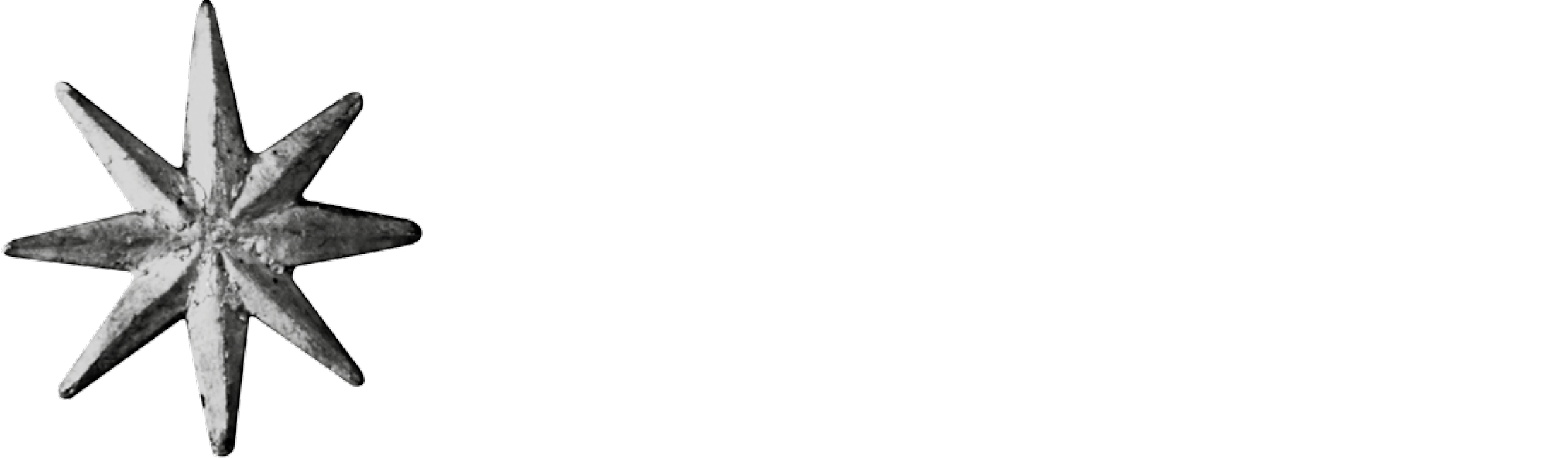 Logo Fondazione Cavallini Sgarbi